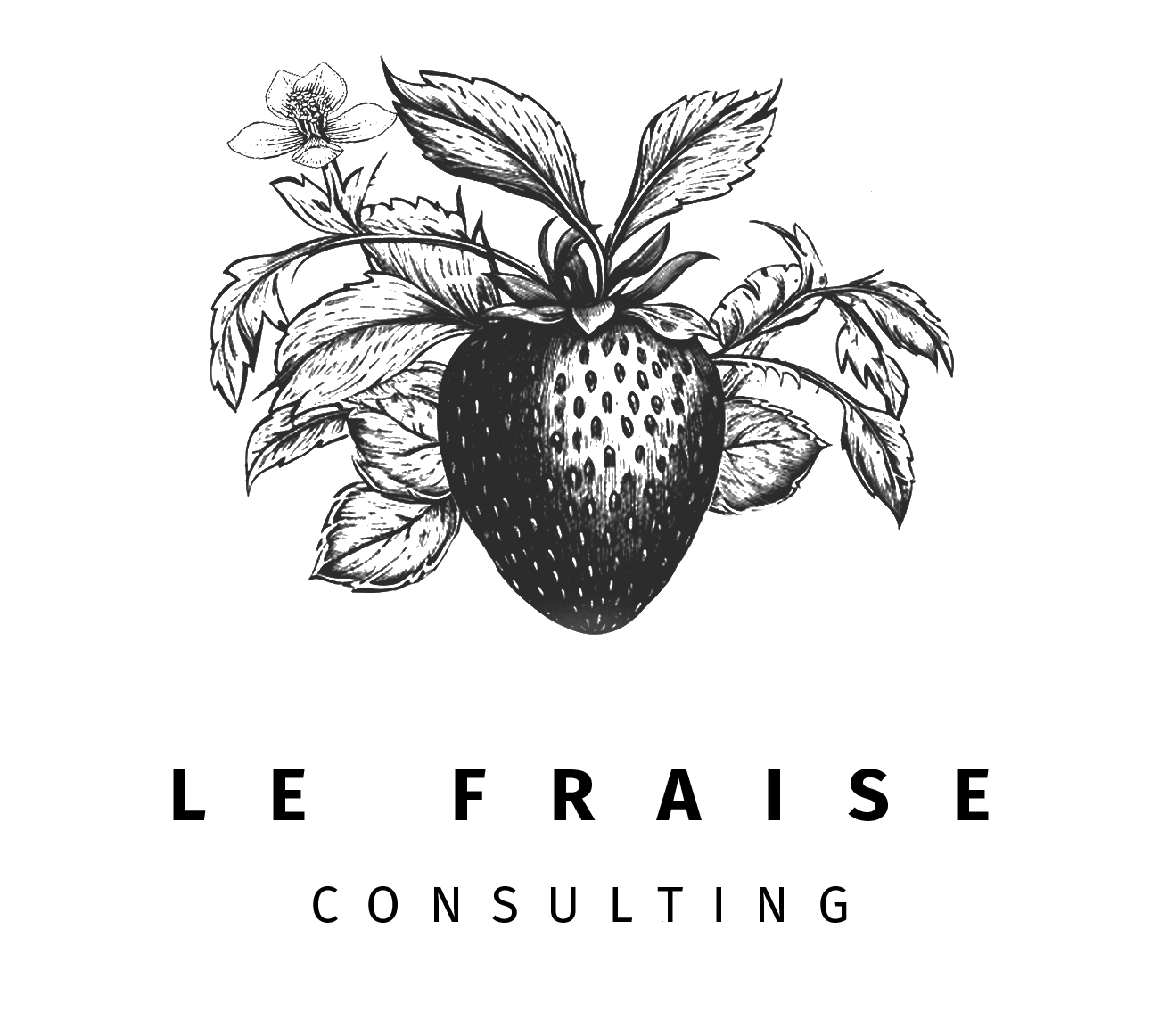 Le Fraise Consulting strawberry illustration